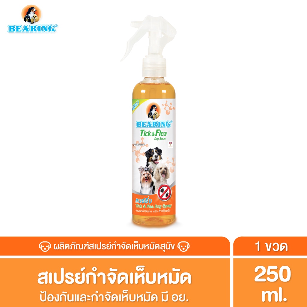 BEARING Tick & Flea Dog น้ำยากำจัดเห็บหมัด สำหรับสุนัข เห็นผลรวดเร็ว 250ml ราคา 116 บาท*ส่งฟรี