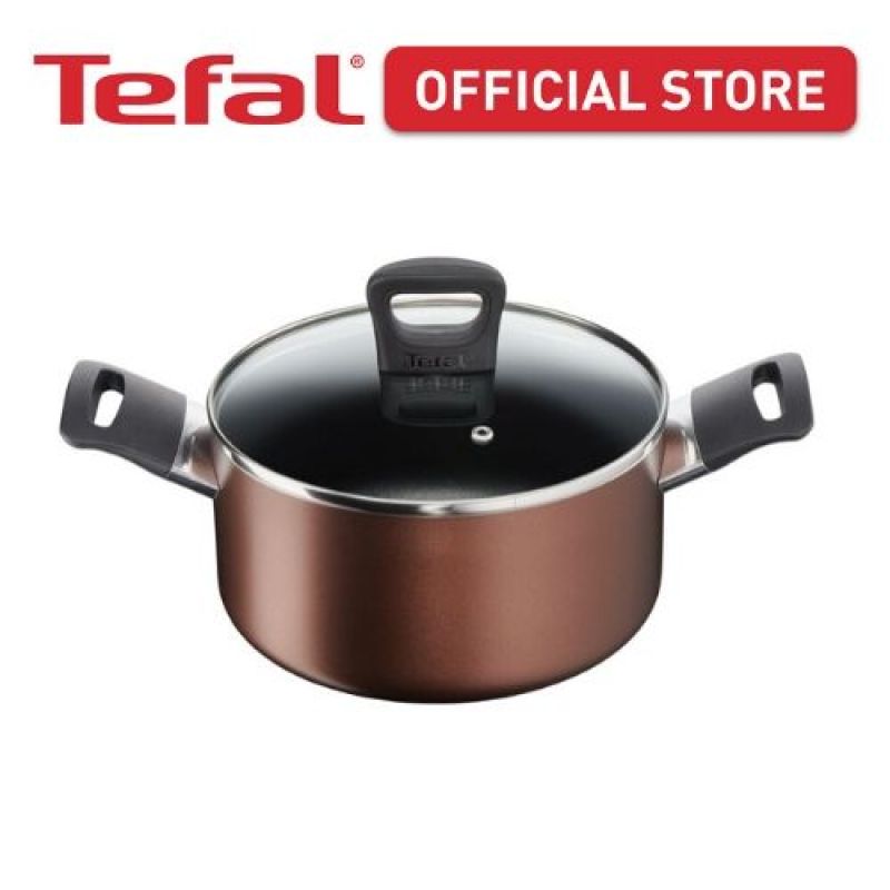 Tefal Super Cook Plus Stockpot 22cm w/lid G10361 Singapore