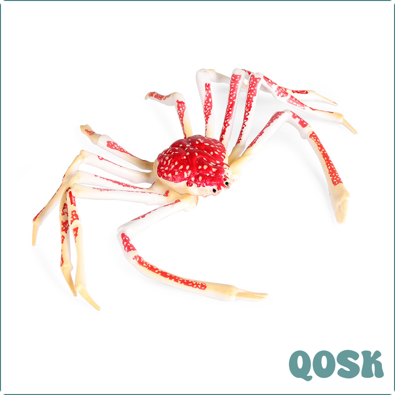 [QOSK] Simulated marine king crab animal model Children's cognitive toys Plastic pendants Static solid crabs Spider crabs ☆