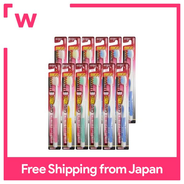 Ebisu Rigu Toothbrush Ordinary 12-pack set