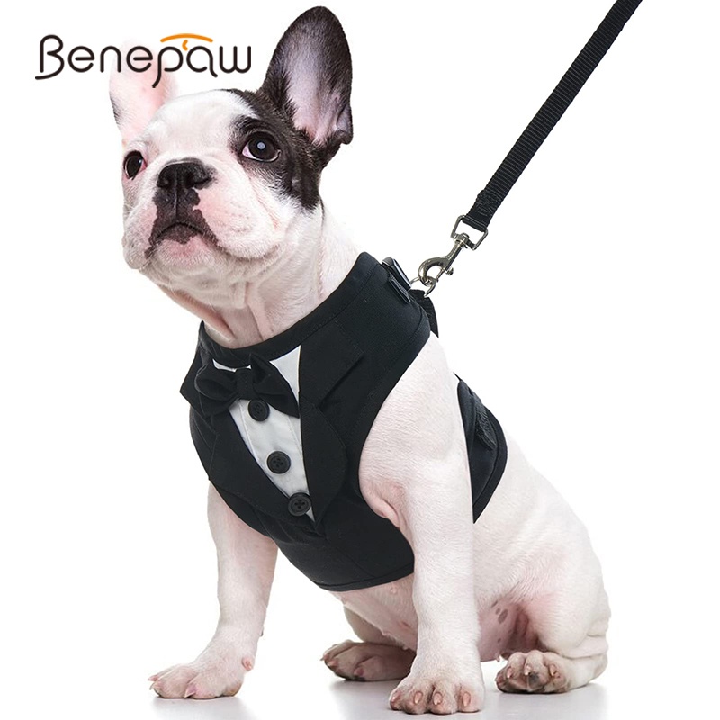 Benepaw No Pull Tuxedo Dog Harness Leash Set Soft Breathable Mesh Bow Tie Puppy Pet Vest Harness Engagement Birthday Valentines ราคา 240 บาท*ส่งฟรี