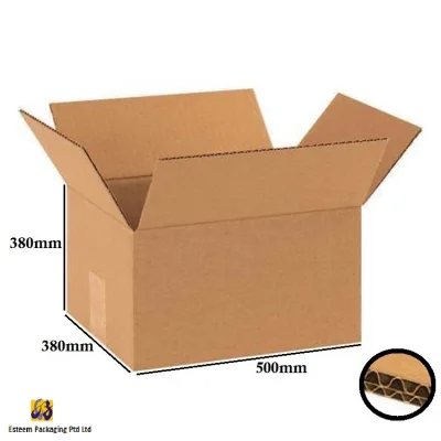 Carton Box/ Corrugated Packing Carton Box (10pcs)
