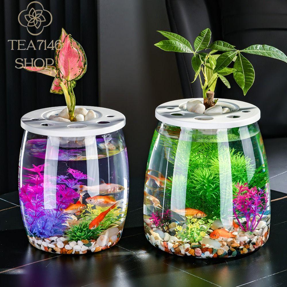 TEA7146 Nhựa Bể cá nhỏ trong suốt Trong suốt Chống vỡ Terrarium Rùa Cảnh quan thu nhỏ Có nắp Bể Cá Rùa Trang trí nhà cửa