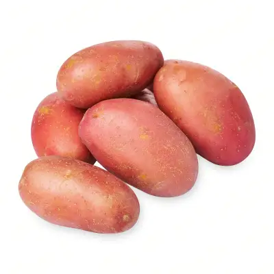 GIVVO Australian Red Washed Potatoes