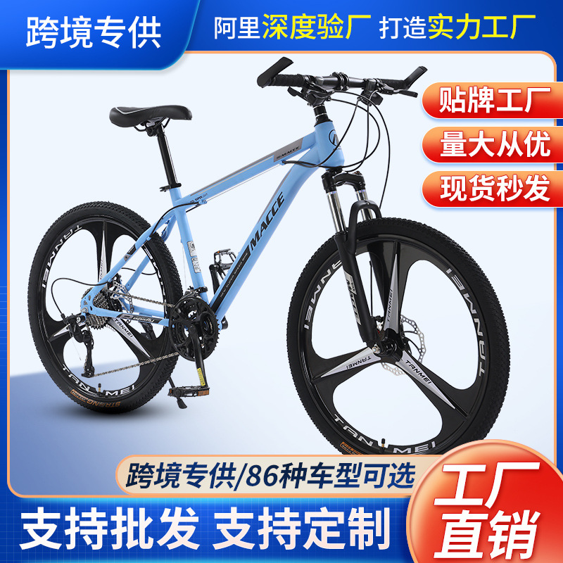 Finiss Passion 305 Finiss Bike Review Foldable Bicycle Flying