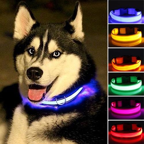 Nylon LED phát sáng họa tiết cún cưng mặt dây vòng cổ đèn an toàn ban đêm