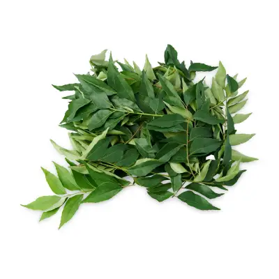 GIVVO Curry Leaves