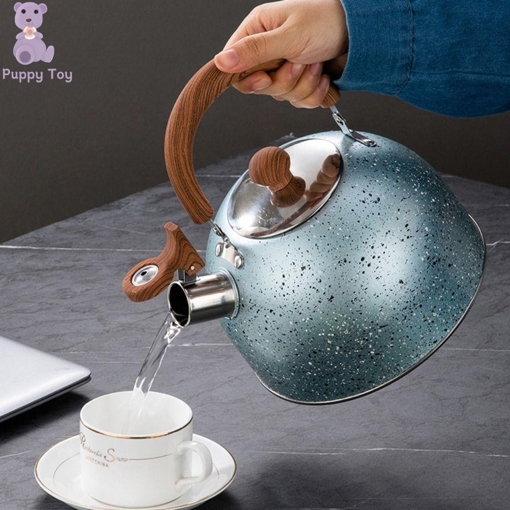 TESDFD Thép không gỉ Ấm đun nước có còi Star Point 2/3L Đáy phẳng Bình đun nước bếp Phổ quát Dày hơn Ấm trà Trang chủ