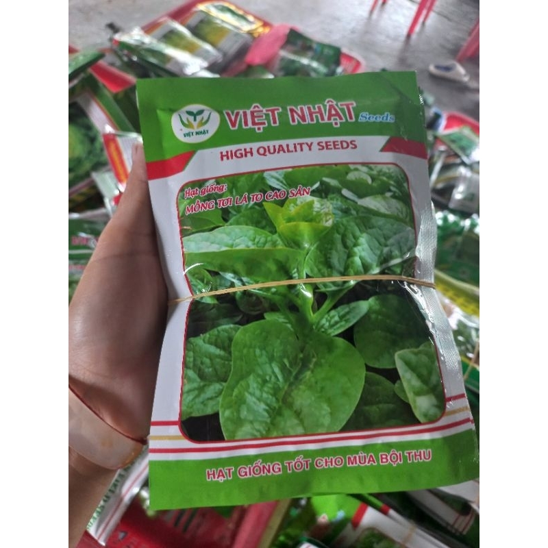 HẠT GIỐNG RAU MÙNG TƠI LÁ TO