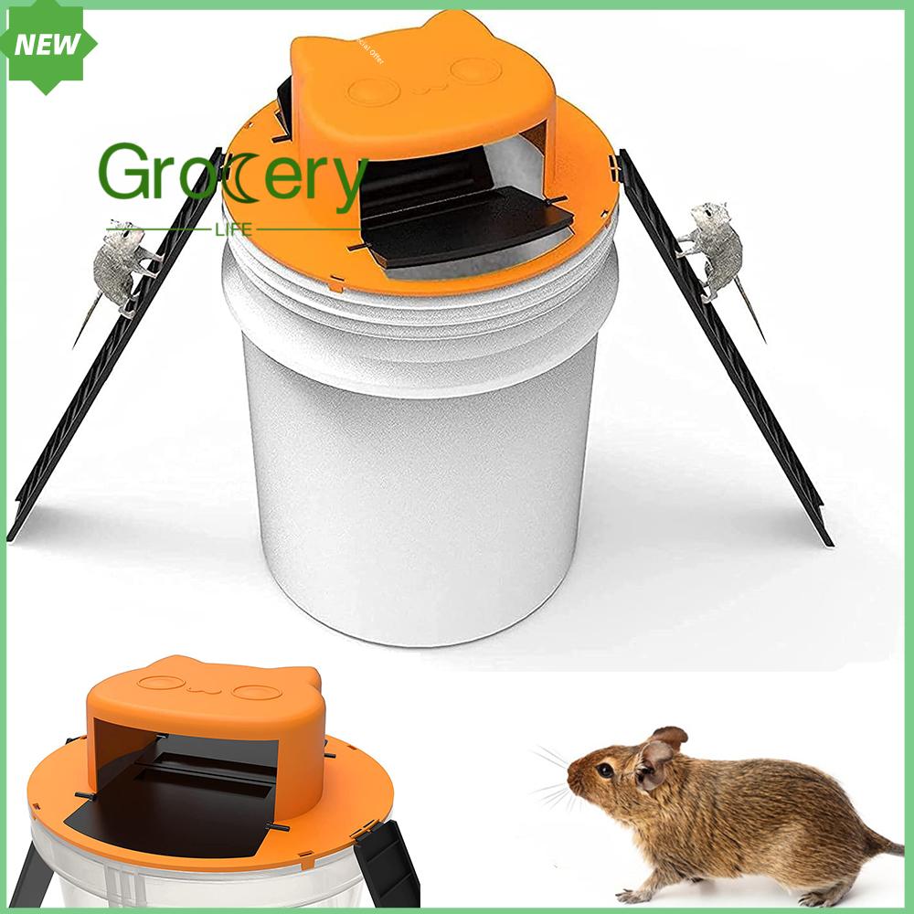 GROCERY LIFE Có thể tái sử dụng Nắp thùng trượt Bắt chuột Kiểm soát sâu bệnh Bẫy chuột Bẫy chuột Bẫy chuột Bẫy chuột