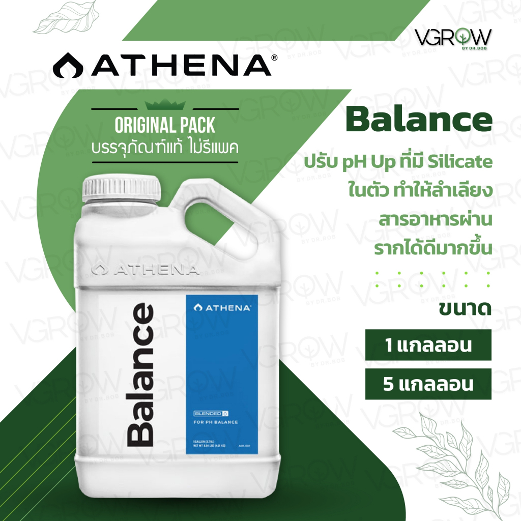 [สินค้าพร้อมจัดส่ง]⭐⭐[ส่งฟรี] Athena Balance ปรับ pH Up ที่มี Silicate ในตัว ทำให้ลำเลียงสารอาหารผ่านรากได้ดีมากขึ้น ขนาด 1 และ 5 แกลลอน[สินค้าใหม่]จัดส่งฟรีมีบริการเก็บเงินปลายทาง⭐⭐ ราคา 13,467 บาท*ส่งฟรี
