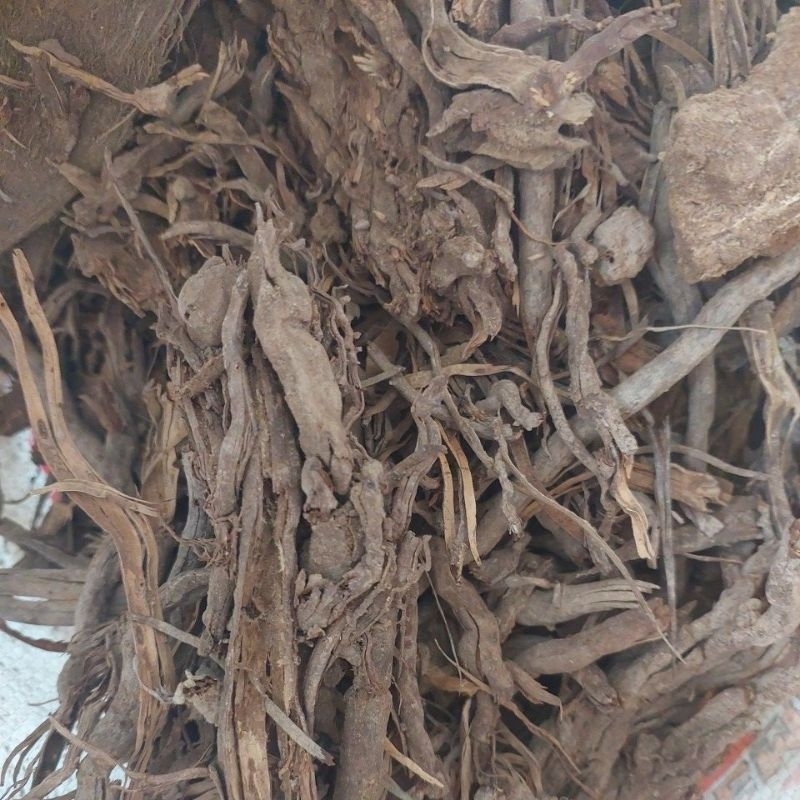Rễ Cây Dừa mục 10kg . được dùng làm giá thể trồng cây