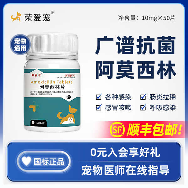 Pet Dog Cat Amoxicillin Cat Anti-inflammatory Tablets Cat Nasal Branch Treatment Cold Medicine Wound