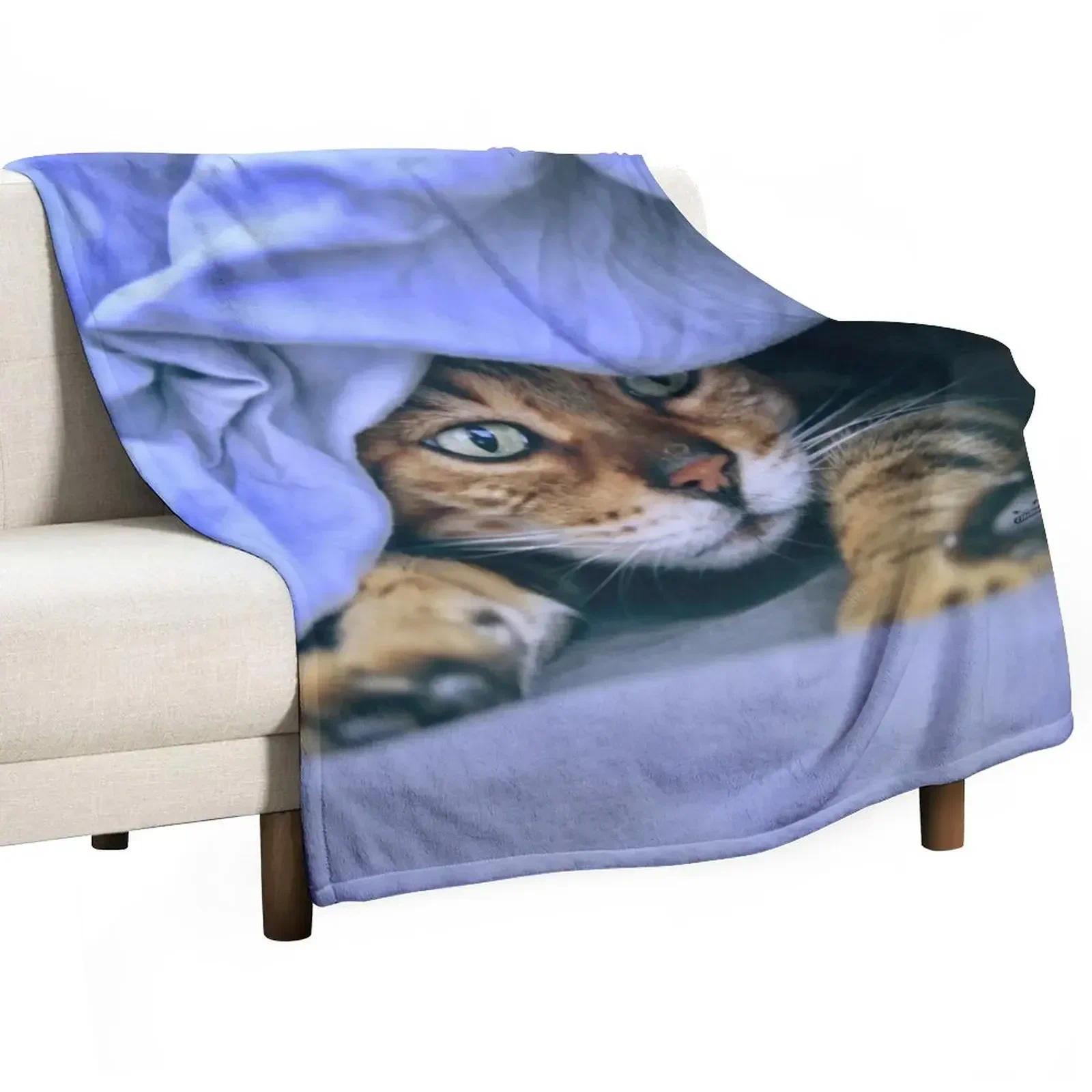 Cat in the nest / Swiss Artwork Photography Throw Blanket wednesday Custom Blankets