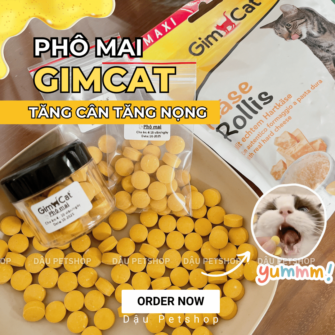 Viên phô mai Gimcat tăng cân tăng nọng hỗ trợ tiêu hóa cho mèo (Lẻ)