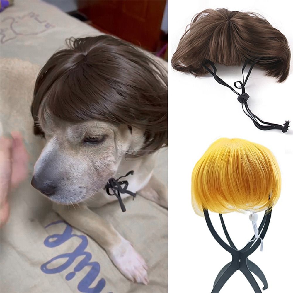TERMINATE Đạo cụ chụp ảnh Tóc giả cho thú cưng Phụ Kiện Đầu Đạo cụ cosplay Lông chéo cho chó mèo Hài Hước Đồ dùng cho thú cưng Trang phục thú cưng Halloween
