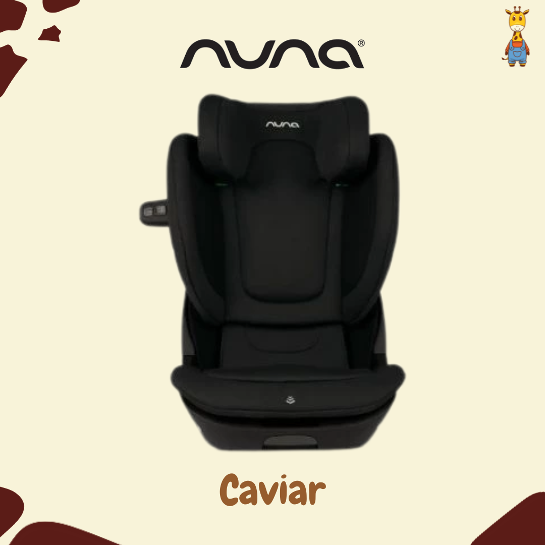Nuna AACE LX With Starter Kit - Carseat Bayi