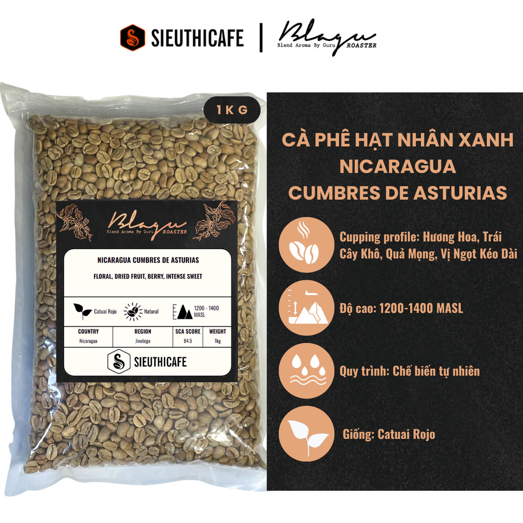 Cà Phê Blagu Hạt Nhân Xanh Nicaragua Cumbres de Asturias – 1kg