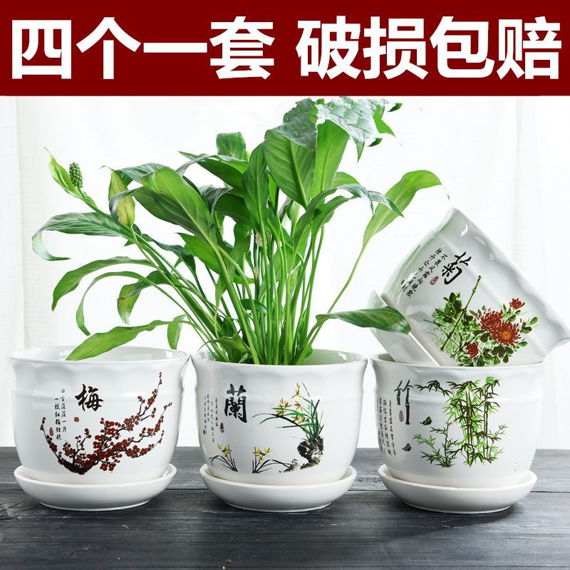 Huangjianfei2 bí ngô Lọ Hoa, gốm sứ, cực lớn, với khay, xanh lục giản dị thông, nhựa chlorophytum comosum, fleshy lọ hoa &amp; tàu