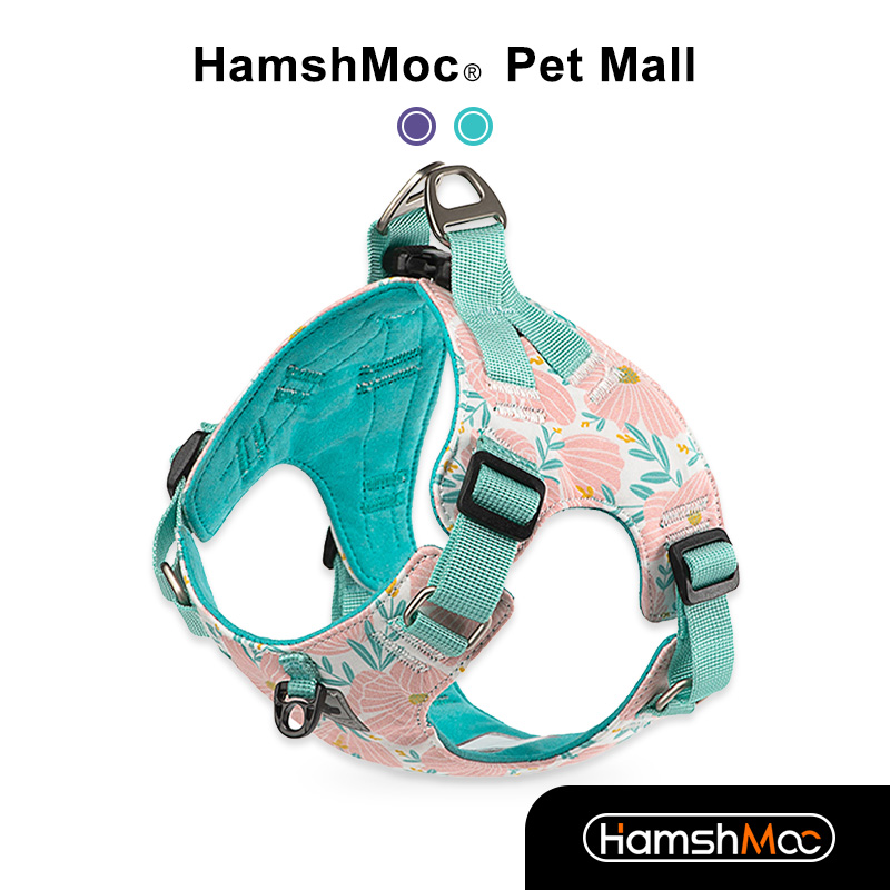 Hamshmoc No Pull Dog Harness Adjustable Soft Nylon Pet Vest Harness Comfort Control Quick Release Buckle For Walking Small Dogs ราคา 576 บาท*ส่งฟรี