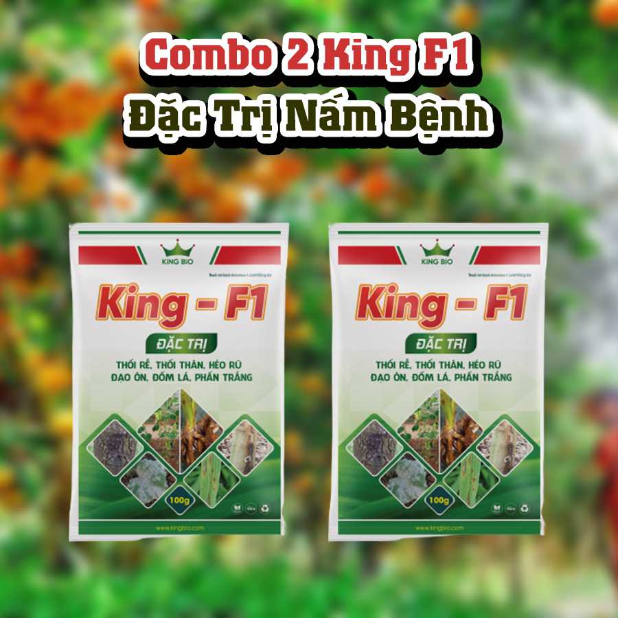 Combo 2 King F1 - Đặc tɾị bệnh thối rễ, thối thân, héo rũ, đạo ôn, đốm lá, phấn trắng, tăng sức đề kháng cho cây trồng