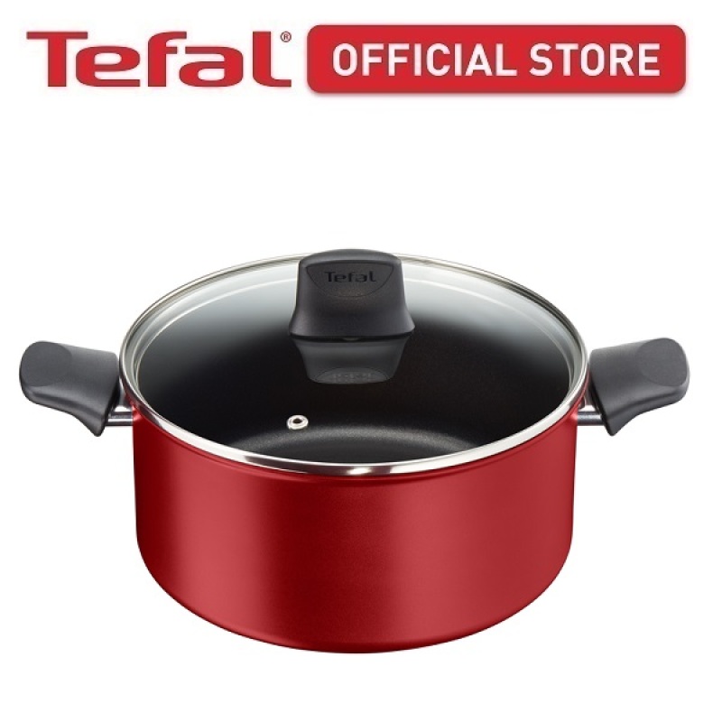 Tefal Cookware Chef Delight Stewpot 24cm w/lid C69846 Singapore