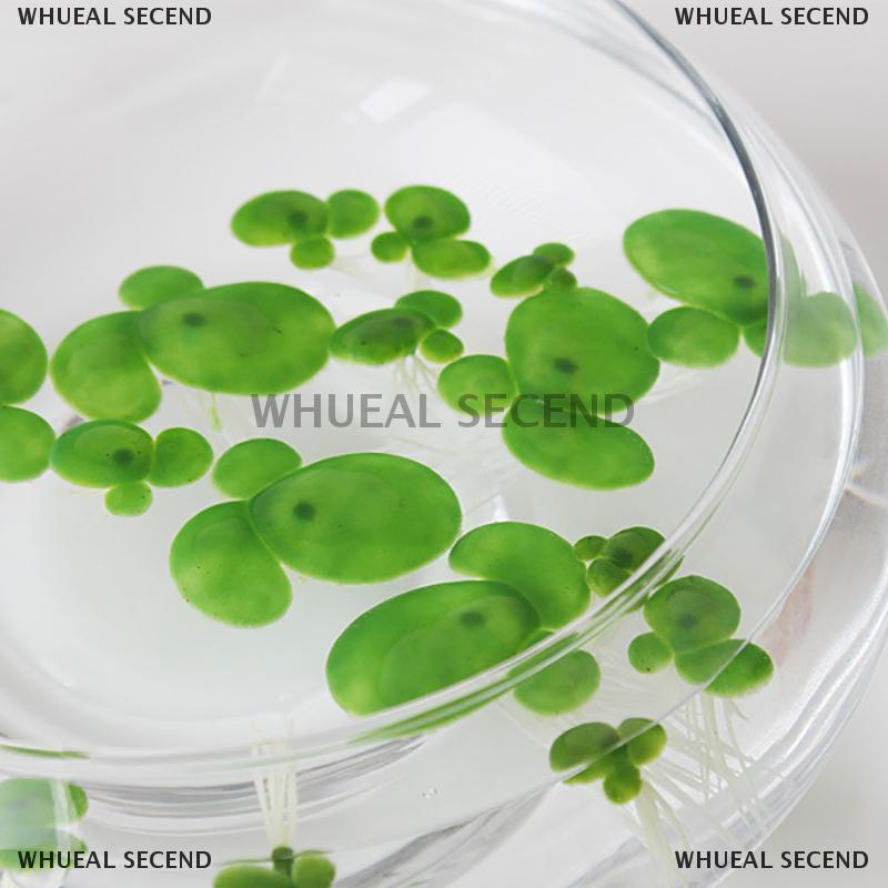 WHUEAL2 18 cái/bộ nổi nhân tạo trang trí sân vườn phao vịt nổi dưới nước có gốc 3 kích cỡ lá để tự t