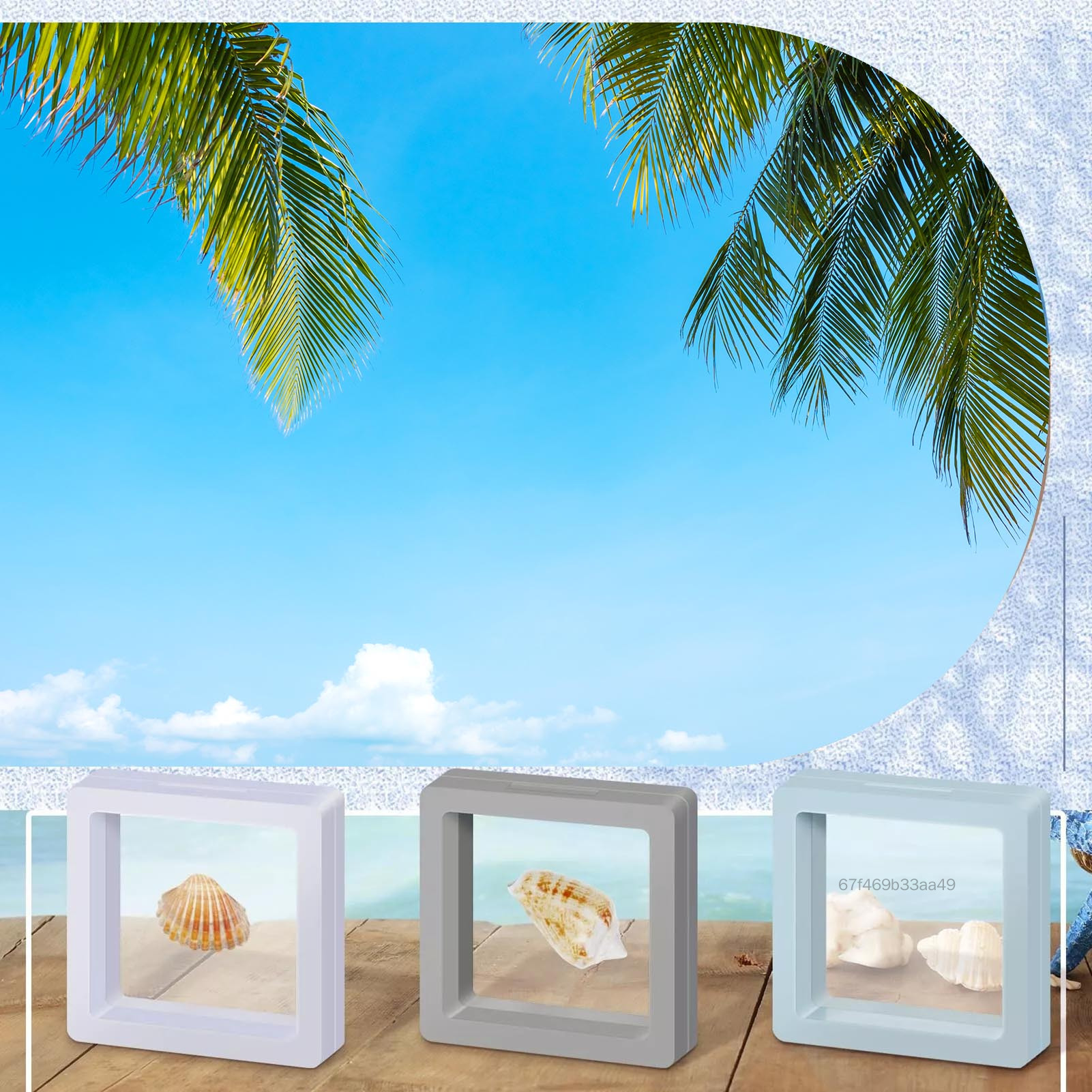 3D Floating Seashell Display Box 7*7*2cm Seashell Craft Organizers for Friends Family Birthday Gift HGH-VN