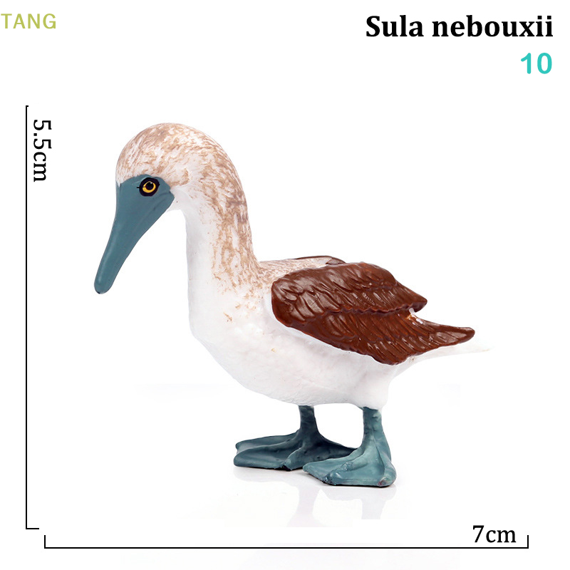 Lowest price TANG Mô hình chim mô phỏng gà tây Hồng Hạc Vẹt Chim mô hình