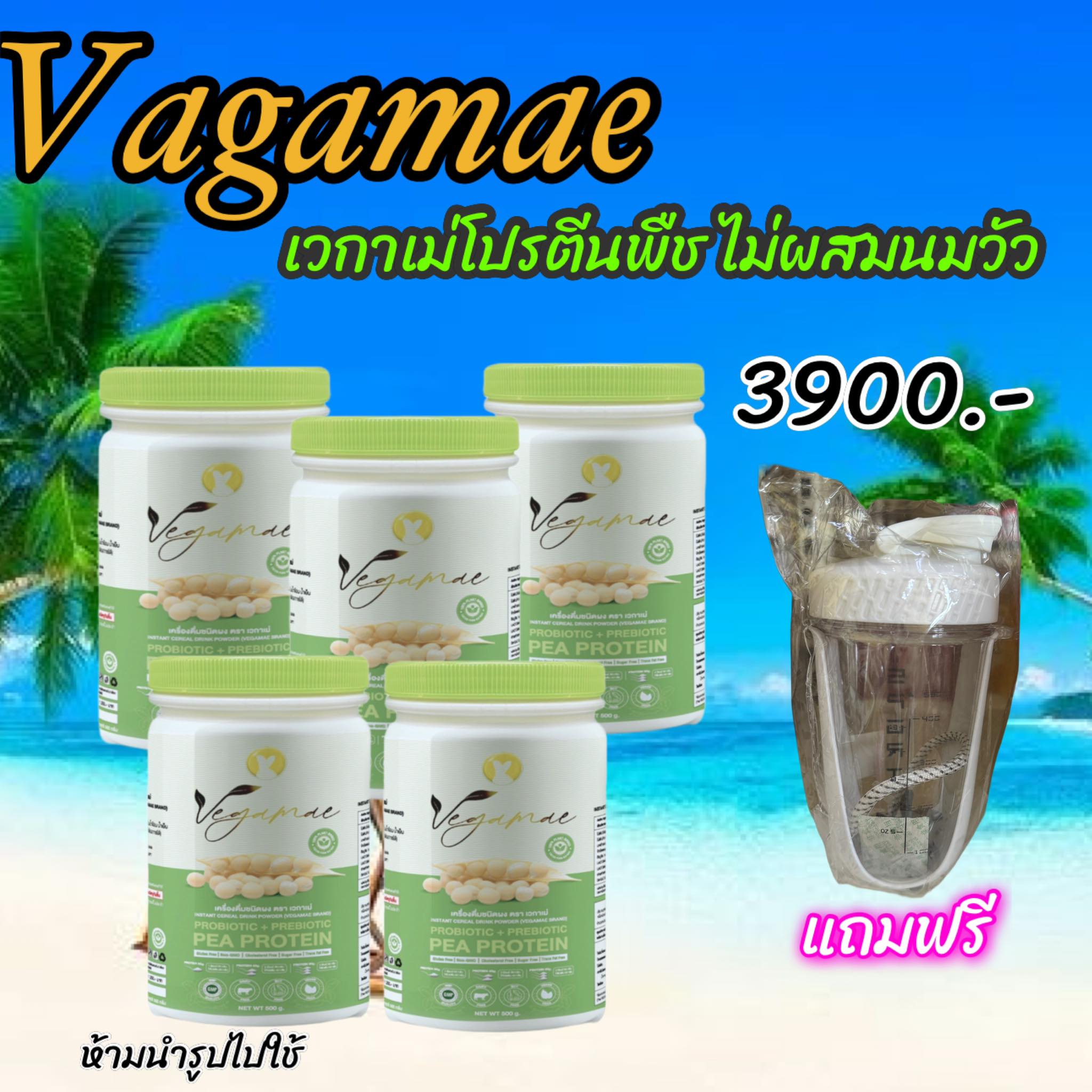 Join the Free Delivery Program Vegamae ️Golden Pea Protein, Vegamae Brand (5 Jars), Plant Protein, Does Not Contain Cow's Milk. ราคา 3,900 บาท*ส่งฟรี