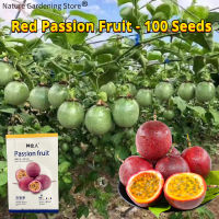 เมล็ดพันธุ์ เสาวรส บอนสี (สีแดง สีเหลือง) Red & Yellow Passion Fruit Seeds เมล็ด ผลไม้เสาวรส เสาวรสหวาน เมล็ดผลไม้ พันธุ์ผลไม้ ต้นผลไม้ เมล็ดพันธุ์ผัก เมล็ดพันธุ์ผลไม้ บอนไซ พันธุ์ไม้ผล ผักสวนครัว ปลูกง่าย ปลูกผัก สวนครัว โตไว คุณภาพดี ราคาถูก ของแท้100%