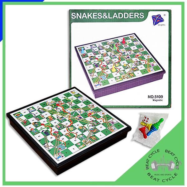 Magnetic Snake and Ladder Game for 4 Players - Family Fun