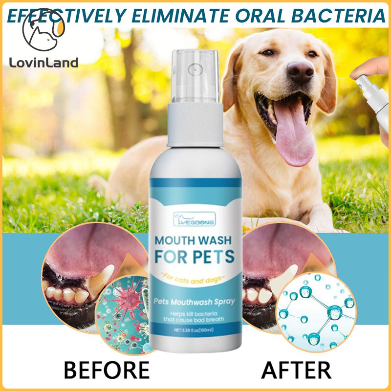 100ml chó cưng răng tẩy cao răng chăm sóc nha khoa làm sạch loại bỏ tính toán giảm cao răng mảng bám tích tụ vật nuôi sức khỏe răng miệng