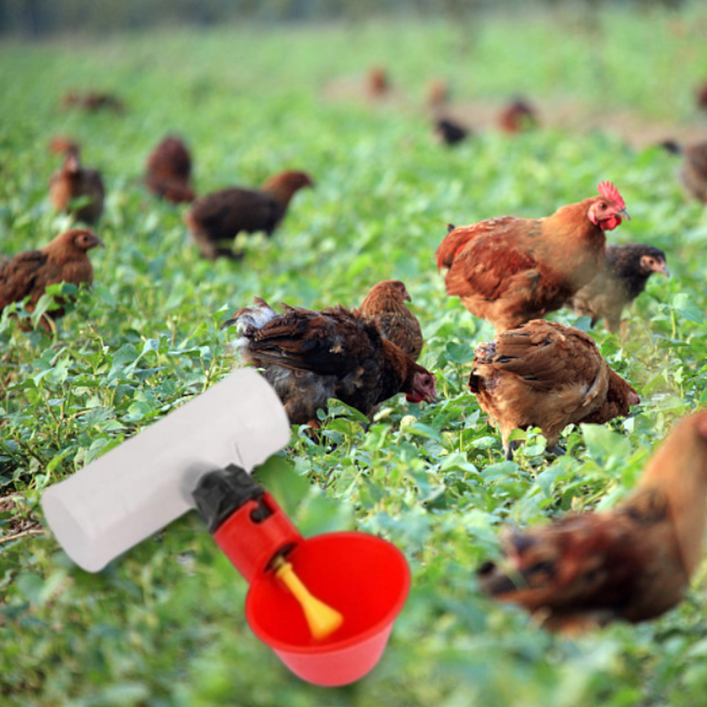 [HomeToolss]6 Pieces PVC Tee Fittings for Bird Drinkers 20mm Plastic Livestock Watering Tee Connectors for Farm Use