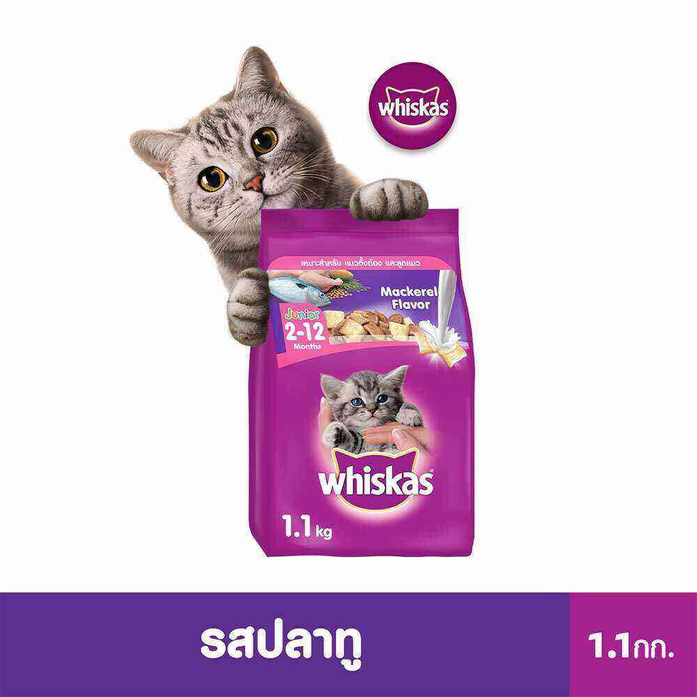 โปรโมชั่น Flash Sale : WHISKAS วิสกัส จูเนียร์ อาหารลูกแมว, 1.1 กก. อาหารแมว ชนิดแห้ง สำหรับลูกแมว อายุ 2–12 เดือน