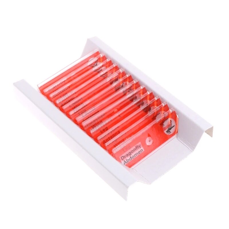 Lớn-khuyến mãi trực tuyến 12 cái lam kính hiển vi Bộ mẫu cho sinh viên cơ bản sinh học giáo dục g8tb
