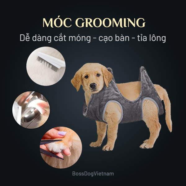 Móc Grooming - Võng treo hỗ trợ cắt móng chó mèo | BossDog