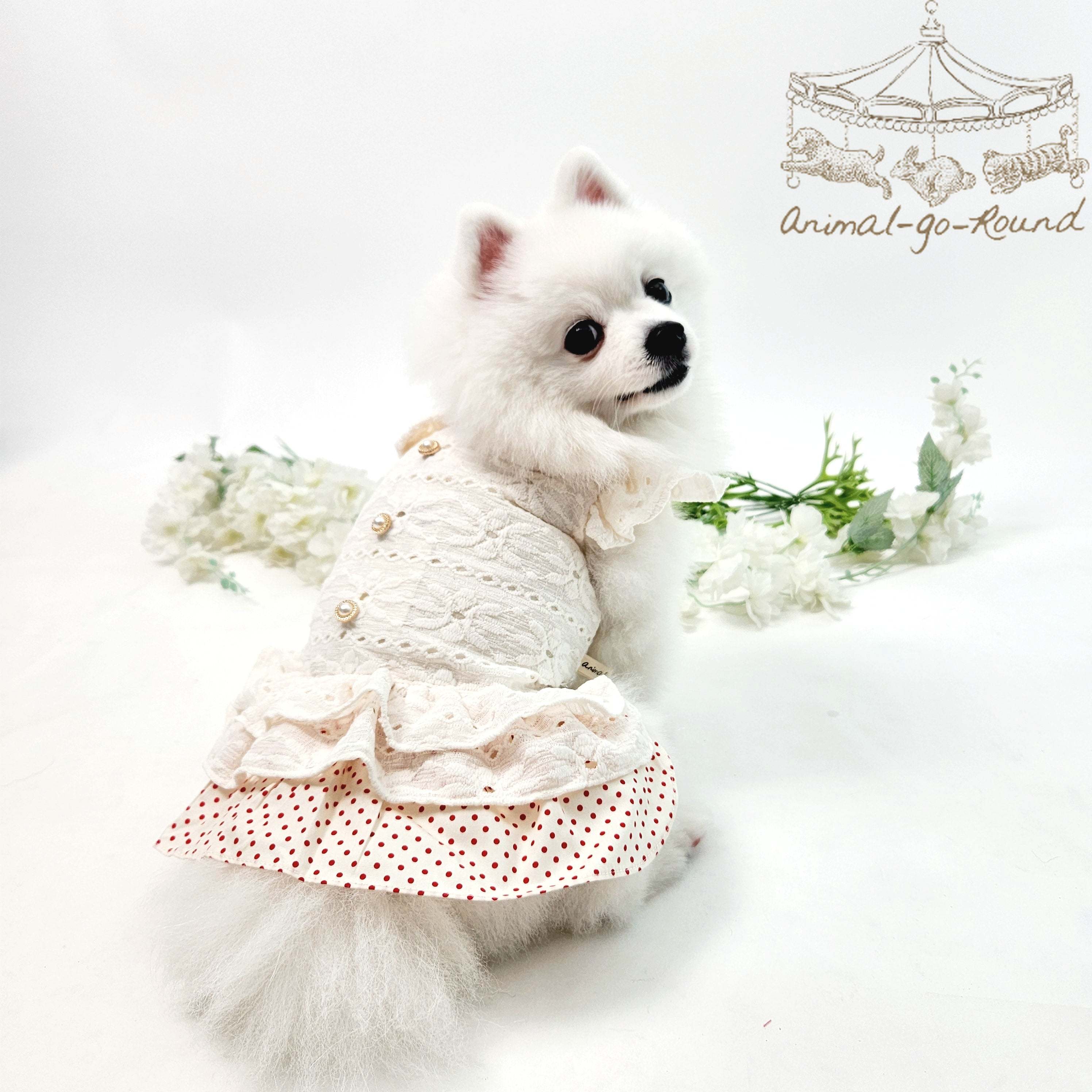 Animal-Go-Round เสื้อผ้าเครื่องแต่งกาย สัตว์เลี้ยง, หมา, แมว, สุนัข รุ่น Sheila Ruby ราคา 690 บาท*ส่งฟรี