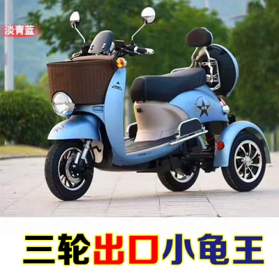 New adult electric tricycle, elderly recreational vehicle, female scooter 48V60V, little turtle king