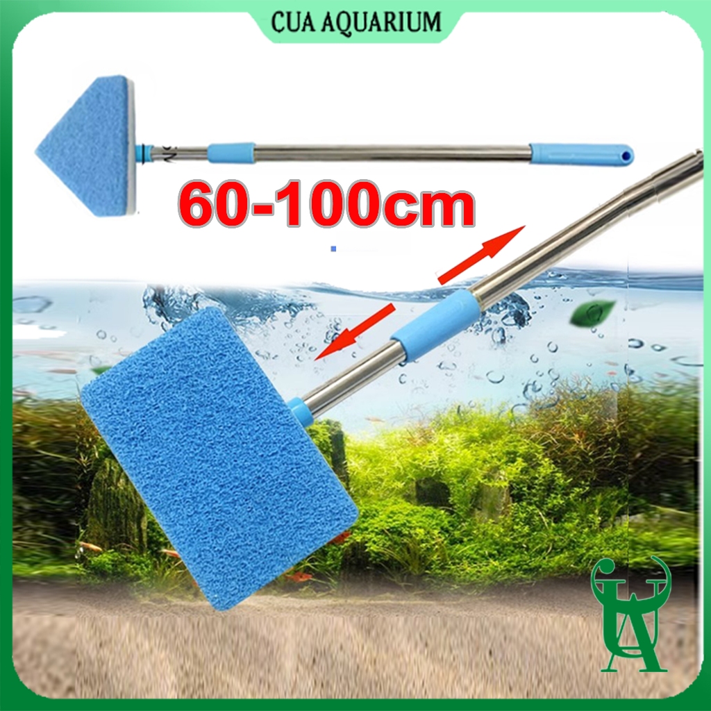 Cây lau kính dụng cụ vệ sinh chà cọ hồ cá cạo rêu bể thuỷ sinh