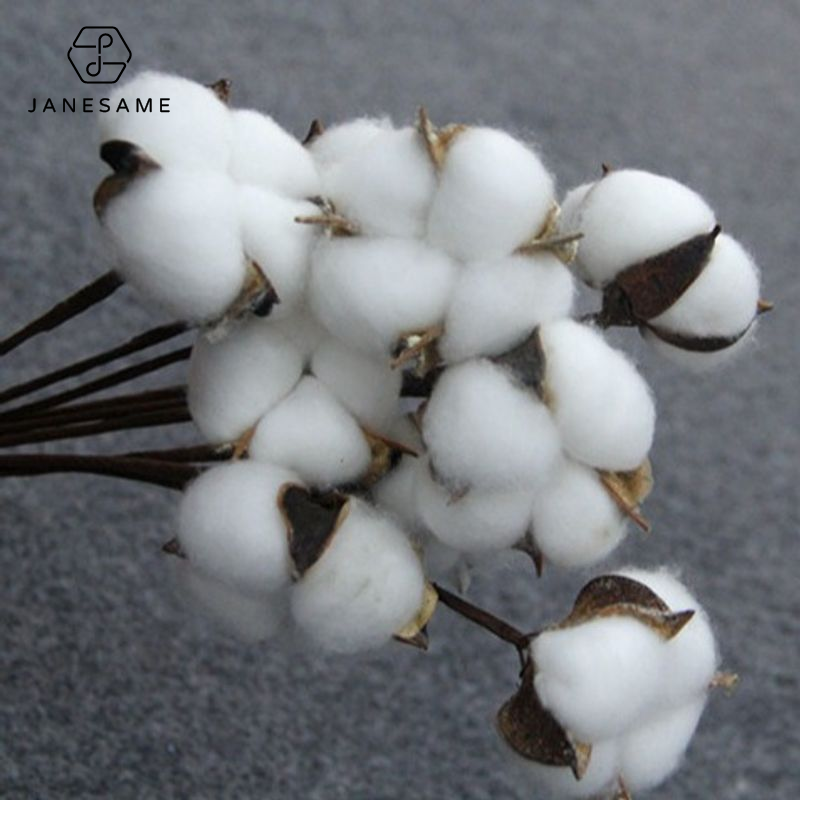Natural Cotton Flower Bouquet Dried Floral Decor for Home, Wedding, and Gift Decoration ราคา 16 บาท*ส่งฟรี