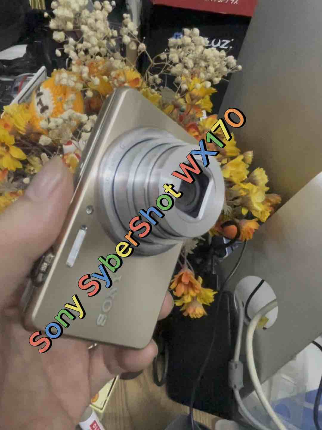 Máy ảnh Sony SyberShot DSC Wx170 có tiếng Việt | Lazada.vn