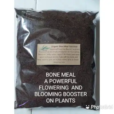 500g-1Kg Bone Meal Organic Fertilizer Blooming/Flowering Booster on plants. Contains high amount of phosphorus as well as nitrogen & calcium. It is important for root development & production of buds & blooms