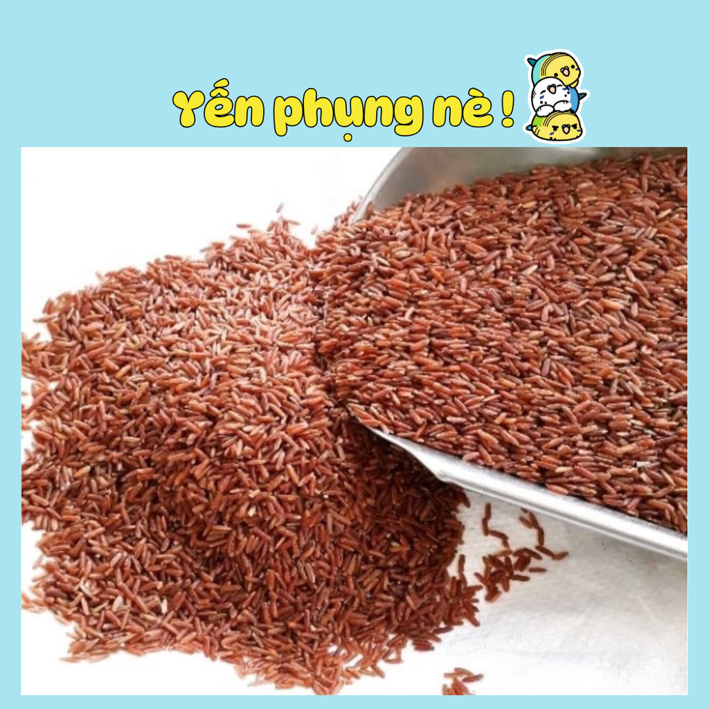 500g gạo đỏ giàu dinh dưỡng.