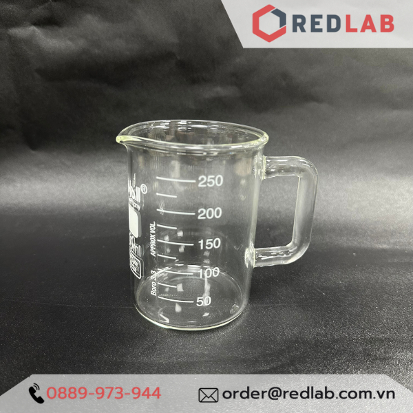 Cốc thuỷ tinh có tay cầm 250ml 500ml biohall germany - beaker có quai, chia vạch trắng, có vat