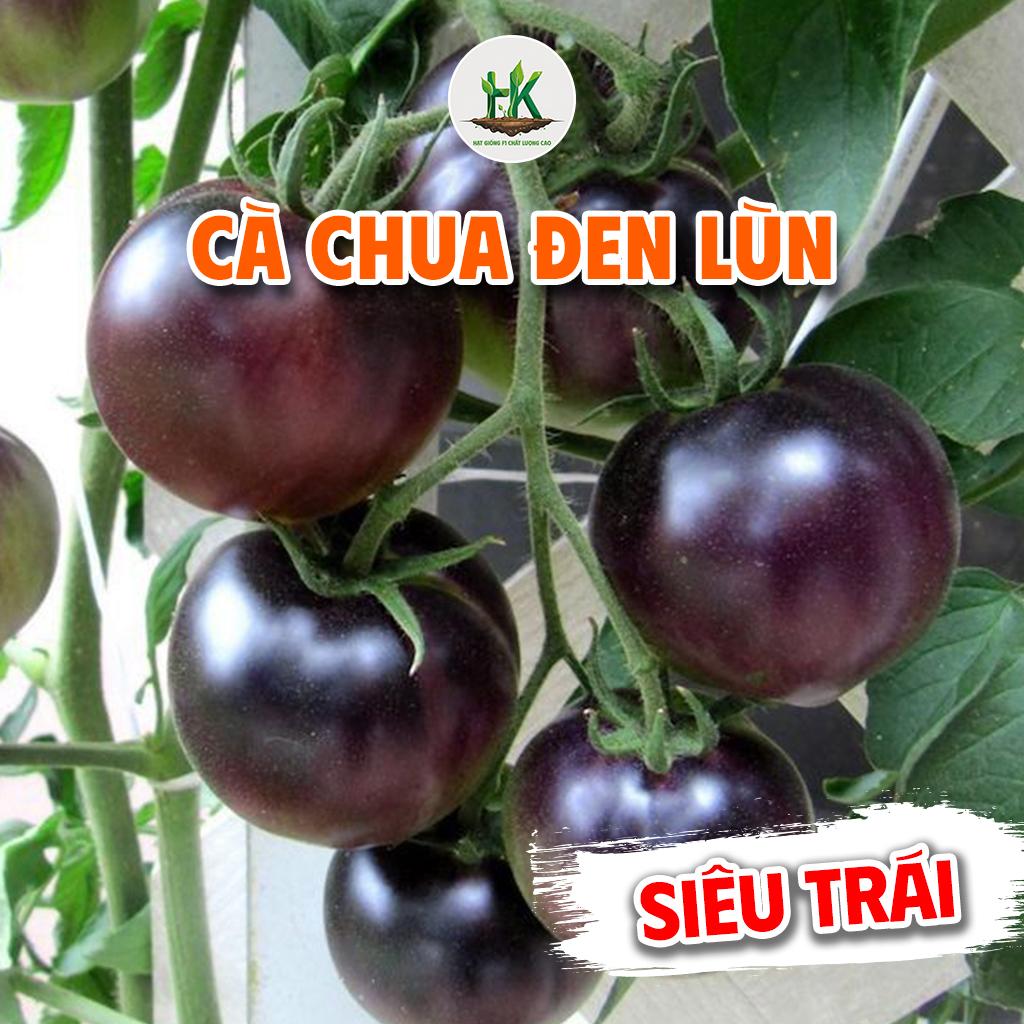 Hạt giống Cà Chua Đen Lùn F1 Siêu Quả, sinh trưởng tốt, dễ trồng, kháng bệnh tốt, trồng chậu - HK SEEDS