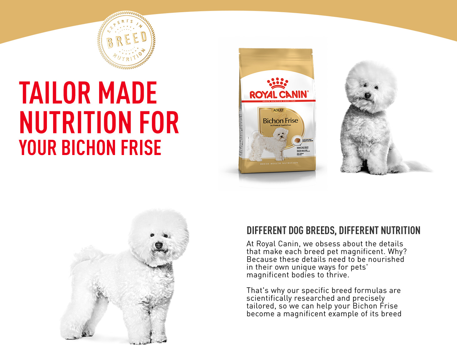 royal canin bichon frise food
