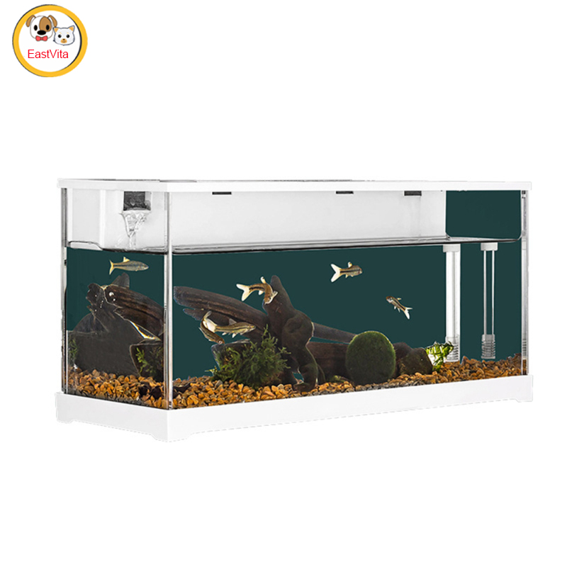 Acrylic Goldfish Tank, Aquarium Small Transparent Fish Tank, Filter Desktop Aquarium Fish Bowls, Modern Mute Aquarium Accessories For Goldfish ราคา 1,164 บาท*ส่งฟรี