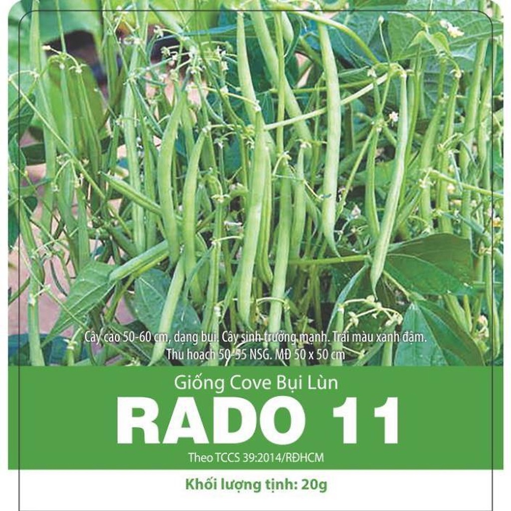 Hạt giống đậu cove bụi lùn rado 11 20gr