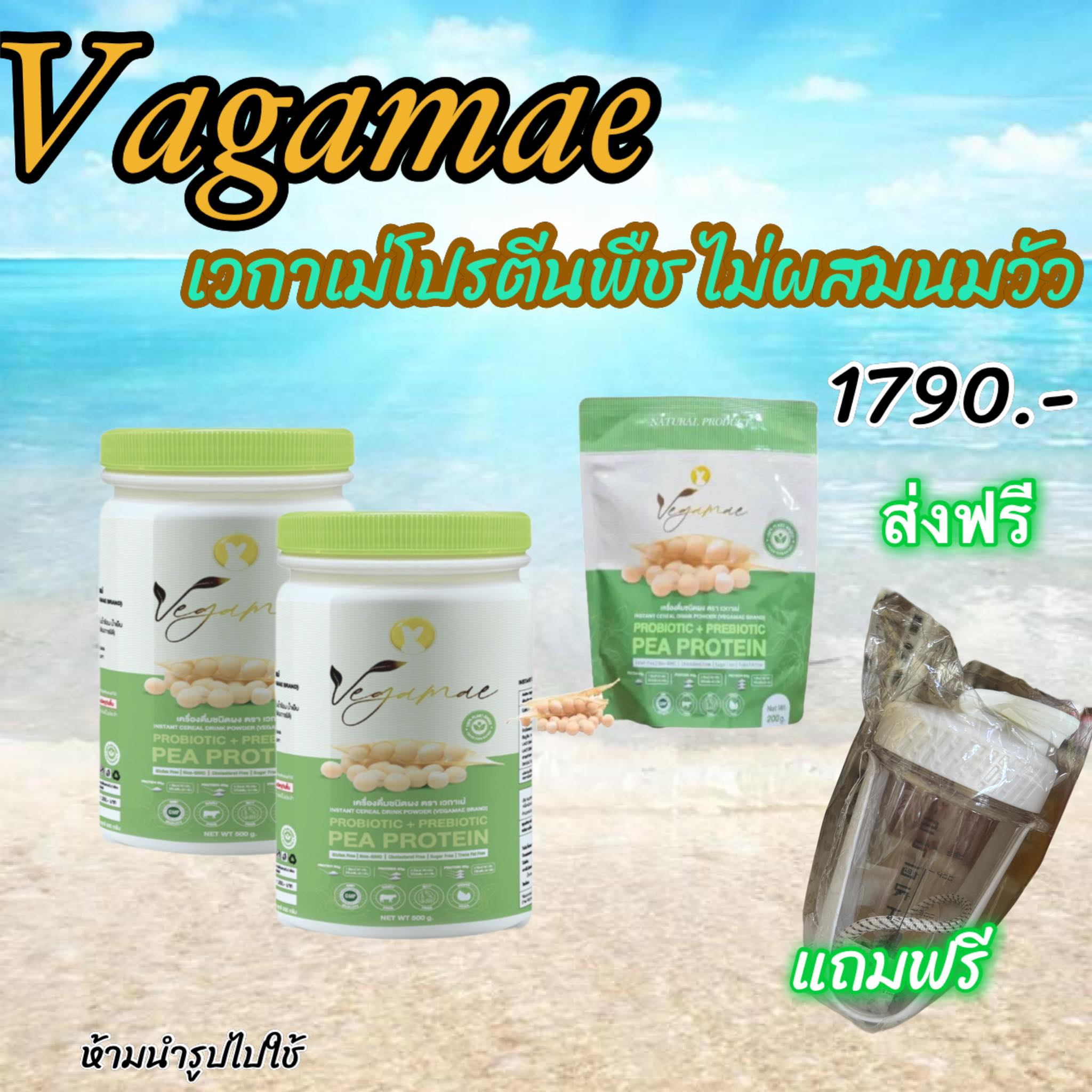 เข้าโปรแกรมส่งฟรี .- VEGAMAE ️โปรตีนถั่วลันเตาสีทอง ตรา เวกาเม่ (แบบเซต) 3 แถม 1 แก้วเชค ราคา 1,790 บาท*ส่งฟรี
